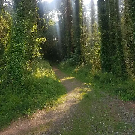 B&B Teach Na Coille *