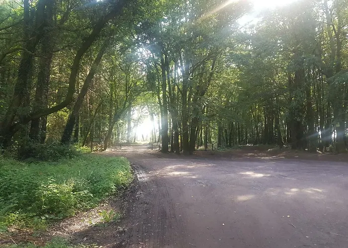 Bed & Breakfast Teach Na Coille