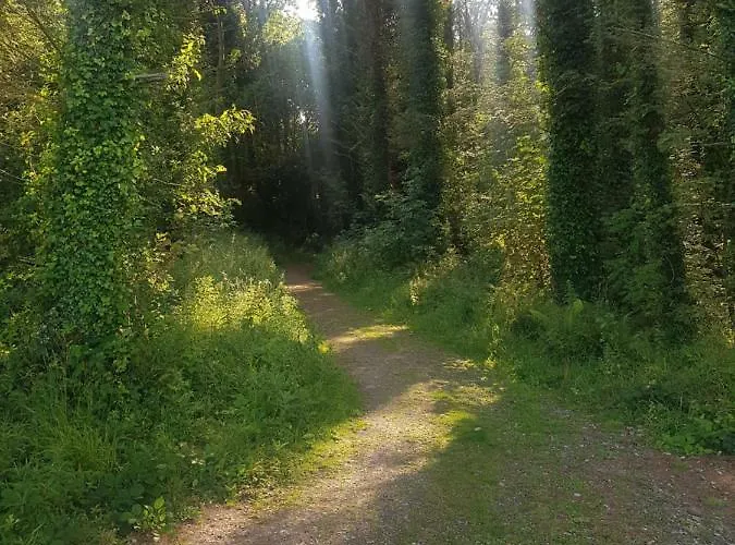 Bed & Breakfast Teach Na Coille *